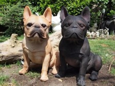 französische Bulldogge Deko
