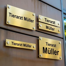 Goldgebürstete Luxus