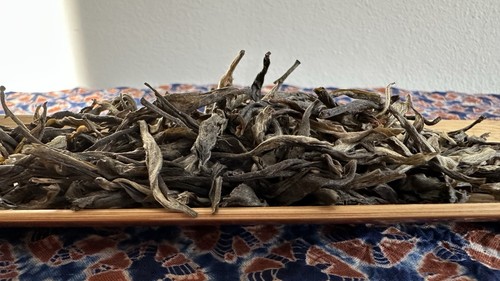 2020 mangfei ancient arbor - mangfei,