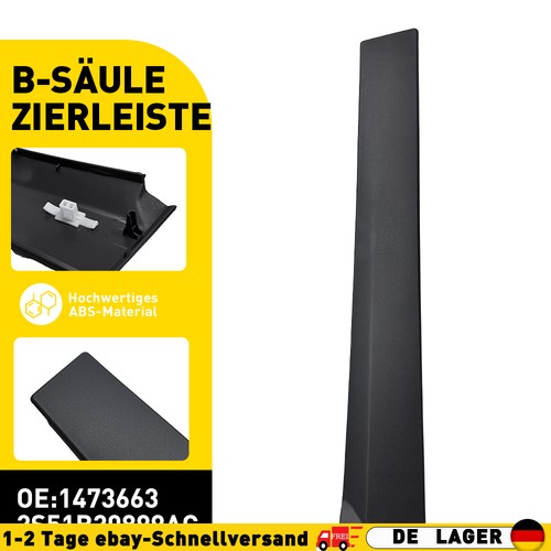 Zierleiste fahrzeugtür - zierleiste,