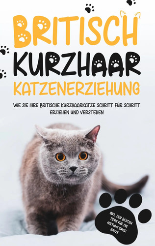 Britisch kurzhaar - britisch,