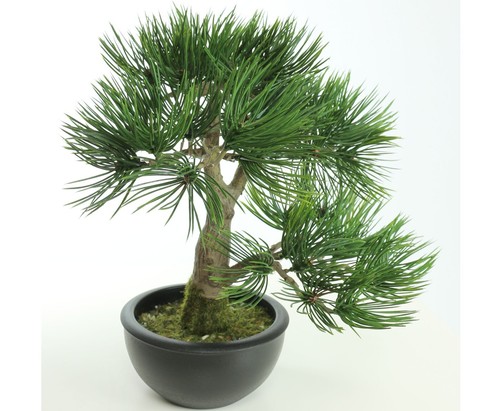 Künstlicher bonsai pinie 33cm - künstlicher,
