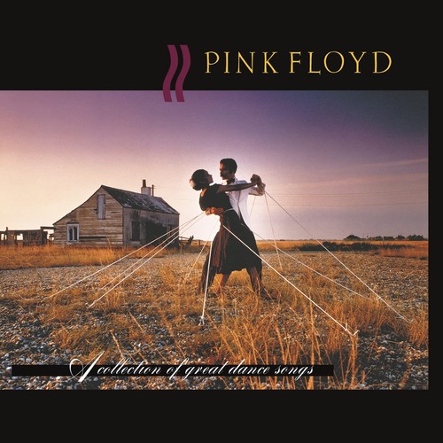 Pink floyd collection of - pink,