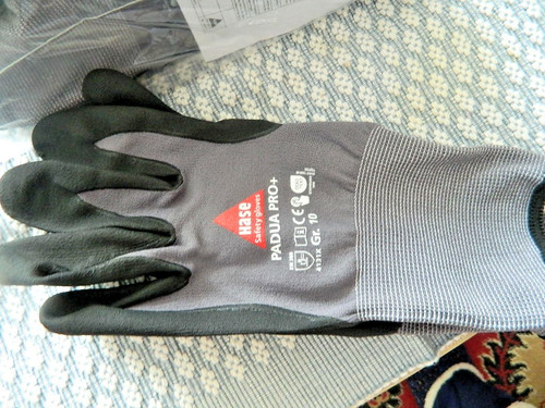 Handschuhe paar hase padua - 10,