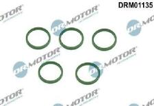 Original Dr.Motor Automotive