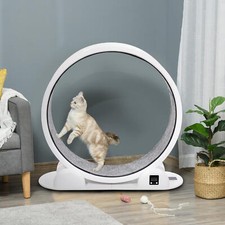 Katzenlaufrad Cat Laufrad