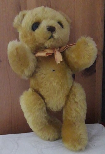 Schildkröt teddybär - schildkröt,
