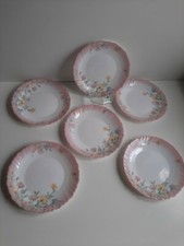 6 x Vintage/ Retro arcopal France Elise Kuchenteller mit Blumenmuster/ Opalglas 