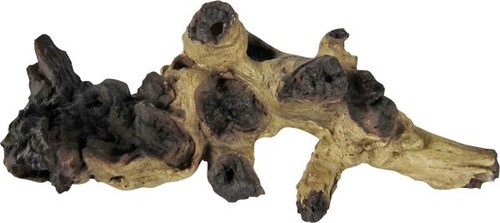 Orbit mopani wurzel small - mopani-wurzel,
