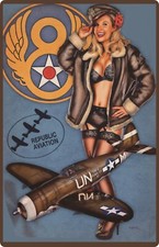 Blechschild 20x30cm gewölbt