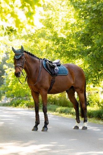 Lemieux loire classic close - lemieux,
