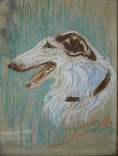 Unleserlich barsoi windhund - unleserlich,