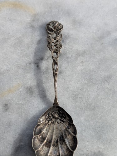 Zuckerlöffel muschelform - -,