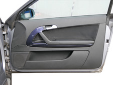 1x Audi A3 8P Türverkleidung