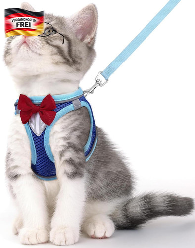 Softkatzenharness mit leine - mit,