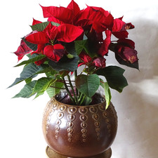 Bowle Topf, Blumentopt /