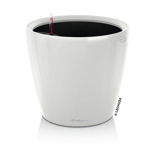 Lechuza classico 35 - lechuza,
