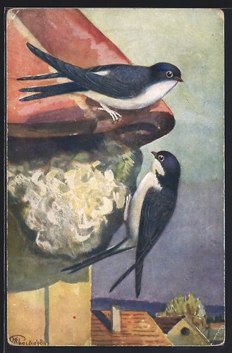 Ansichtskarte schwalben - ansichtskarte, an
