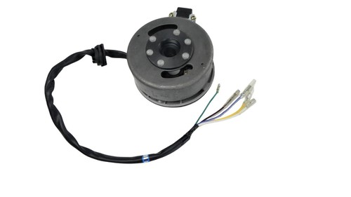 Zündung 12v mit polrad dax - zündung,