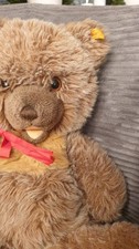Steiff Teddy Zotty 018206 mit