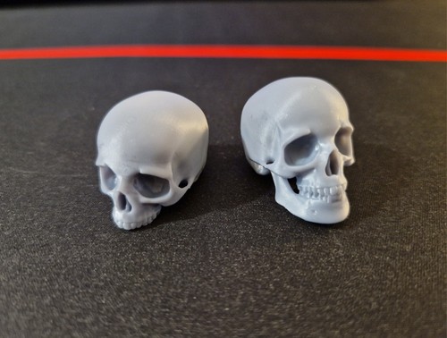 Totenkopf schädel set - 1/6,