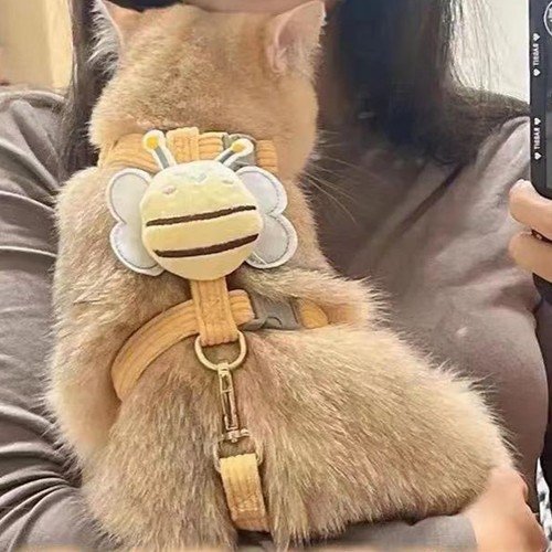Katzengeschirr verstellbar