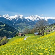 3 Tage Kurzurlaub Allgäu | Hotelgutschein Bayern 2 Nächte inkl. Frühstück für 2