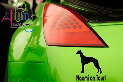 563 whippet on tour - -, hund