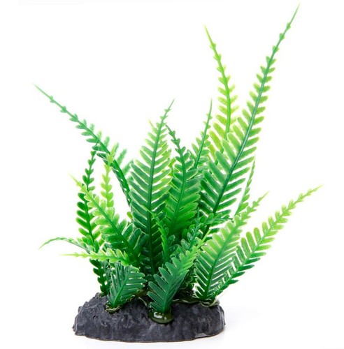 Aquarium terrarium - aquarium,