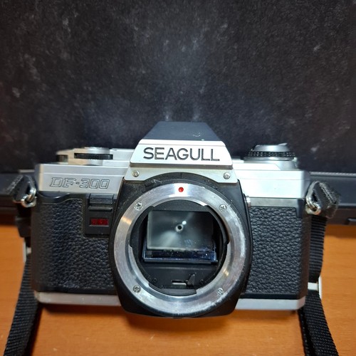 Seagull 300 - seagull, df-300