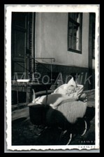 Foto, Wensin, unterwegs mit