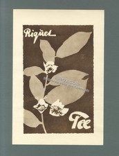 Riquet Tee Blüten Hauser's