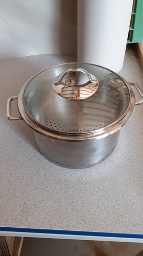 Kochtopf mit dampfeinsatz - kochtopf,