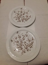 Johann Seltmann - Vohenstrauss - Blütenstrauß braun - 2 Speiseteller - 24 cm Dm