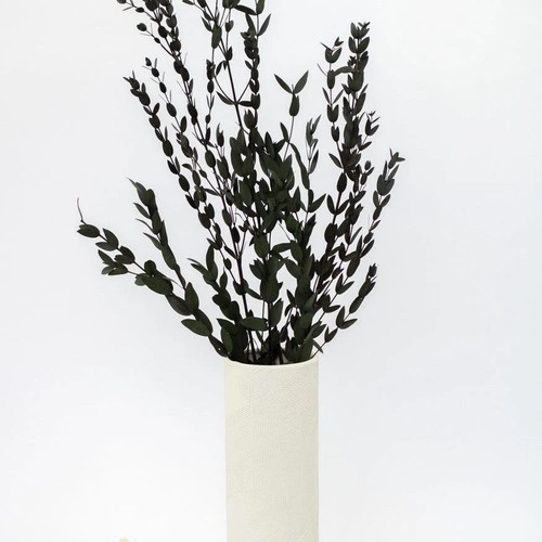 Getrockneter eukalyptus - getrockneter,