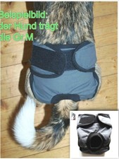 Schutzhöschen Hundehose