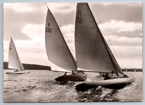 Steinhuder meer - meer,