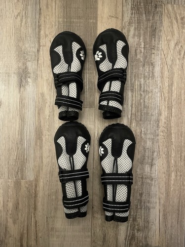 Pfotenschutz schuhe dubai für - dubai,
