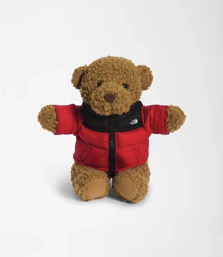 The north face nuptse - face,