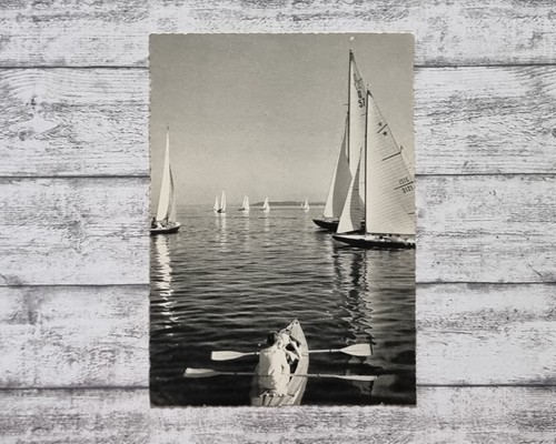 Bodensee regatta segelboote - bodensee,