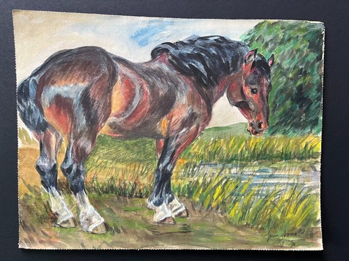 Pferd wasser feines - am,