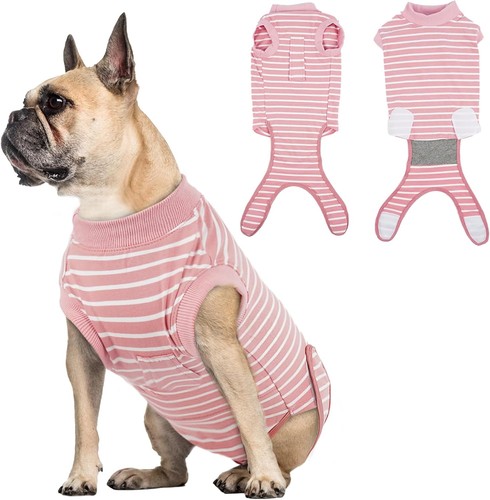 Hunde body anzug hund - hunde,