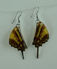 Ohrhänger echte Schmetterling