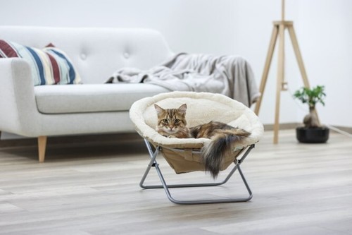 Katzenbett liegemulde für - liegemulde,