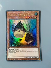 Naturia Bambus Shooting -