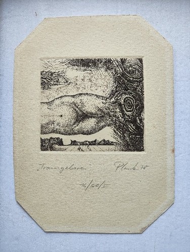 Heinz plank original - original, radierung