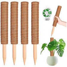 Pflanzstab Kokosfaser 4er Pack 41cm Rankhilfe für Kletterpflanzen