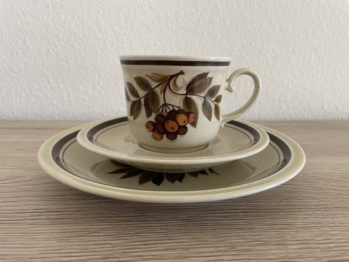 Winterling kaffeetasse - 3x,