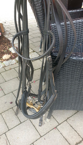 Passier sohn trense - passier, leder