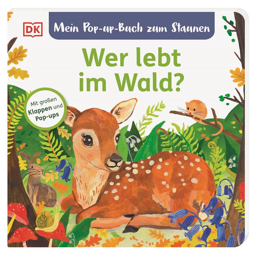 Mein pop buch zum staunen - pop-up-buch,